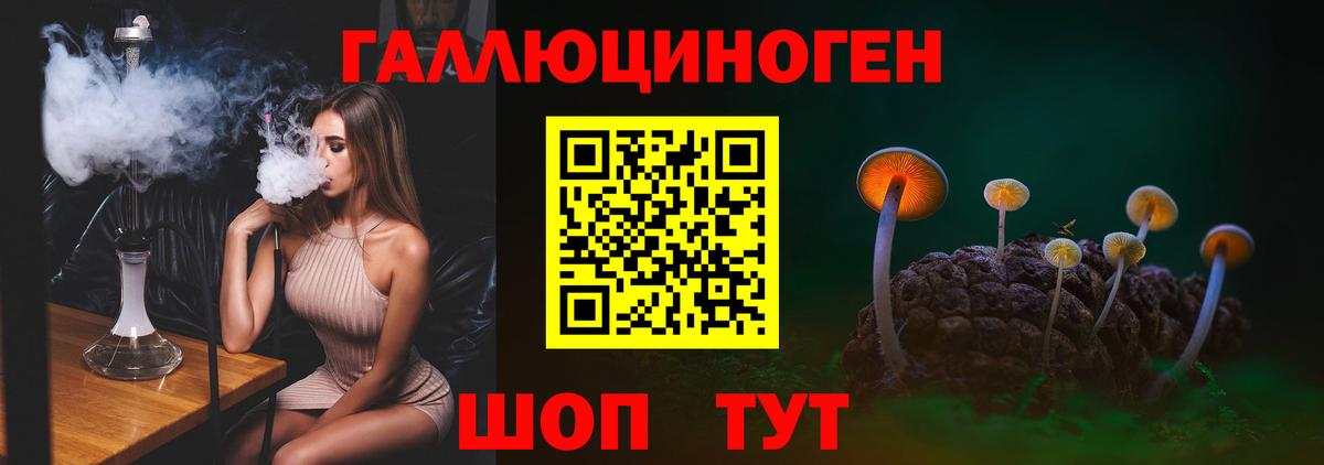 Псилоцибиновые грибы GOLDEN TEACHER  купить  цена  Копейск  Вход с VPN 